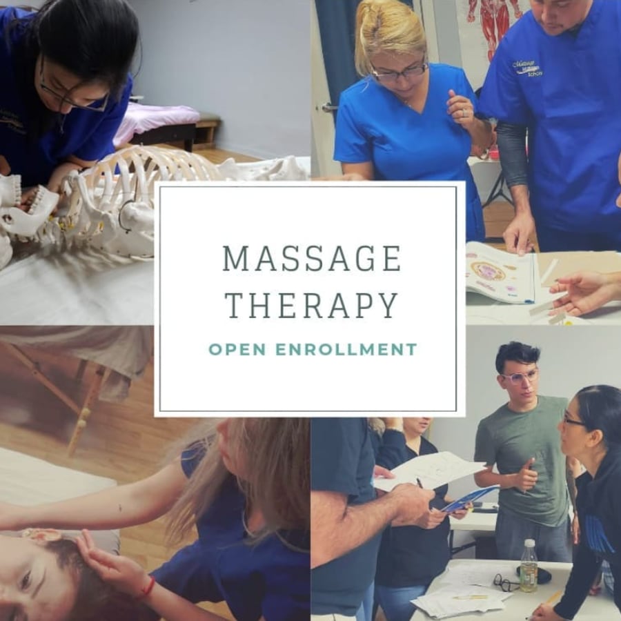 Massage therapy open enrollment — students studying anatomy and practicing at Massage Masters School